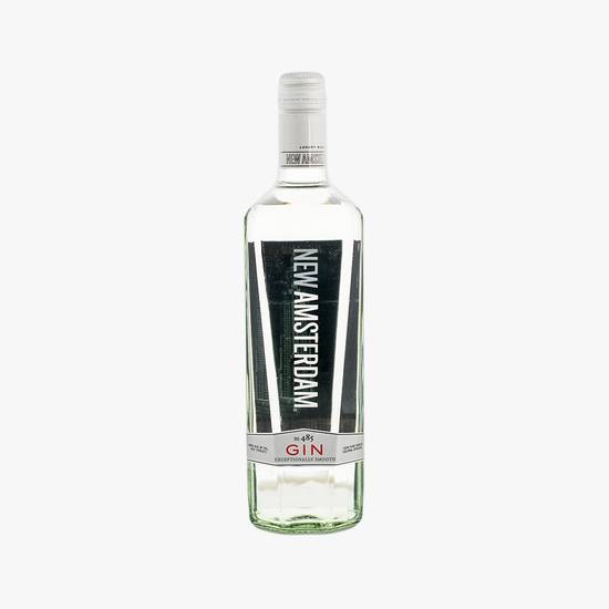 Order New Amsterdam Gin food online from Fine Wine & Spirits Warehouse store, Tampa on bringmethat.com