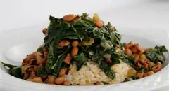 Senor Veggie