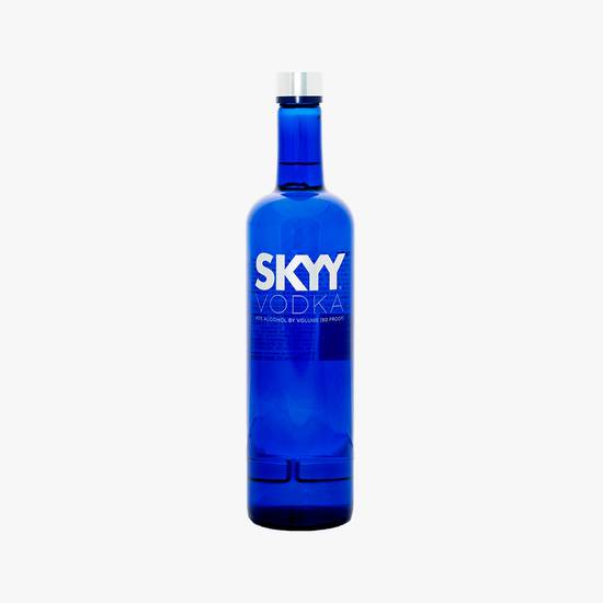 Order Skyy food online from Fine Wine & Spirits Warehouse store, Tampa on bringmethat.com
