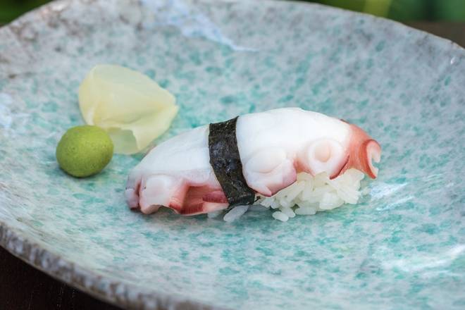 Order OCTOPUS NIGIRI & SASHIMI food online from Samurai store, Miami on bringmethat.com