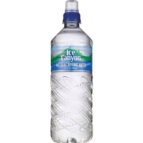 Order Gold Emblem Ice Canyon Natural Spring Water, 24 OZ food online from Cvs store, MARTINEZ on bringmethat.com