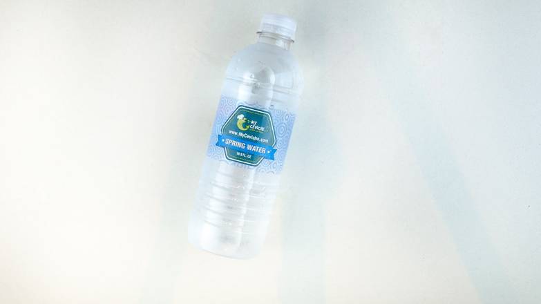 Order Spring Water food online from My Ceviche store, South Miami on bringmethat.com