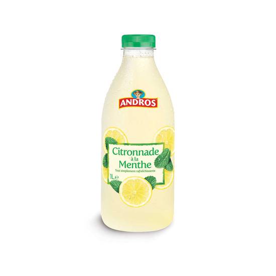 Andros Citronnade à la menthe 1L