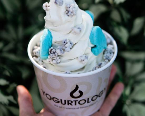 Order Tart Nouveau food online from Yogurtology- Gainesville store, Gainesville on bringmethat.com