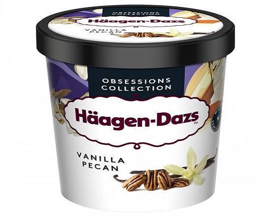 Häagen-Dazs Vanilla Pecan 400G