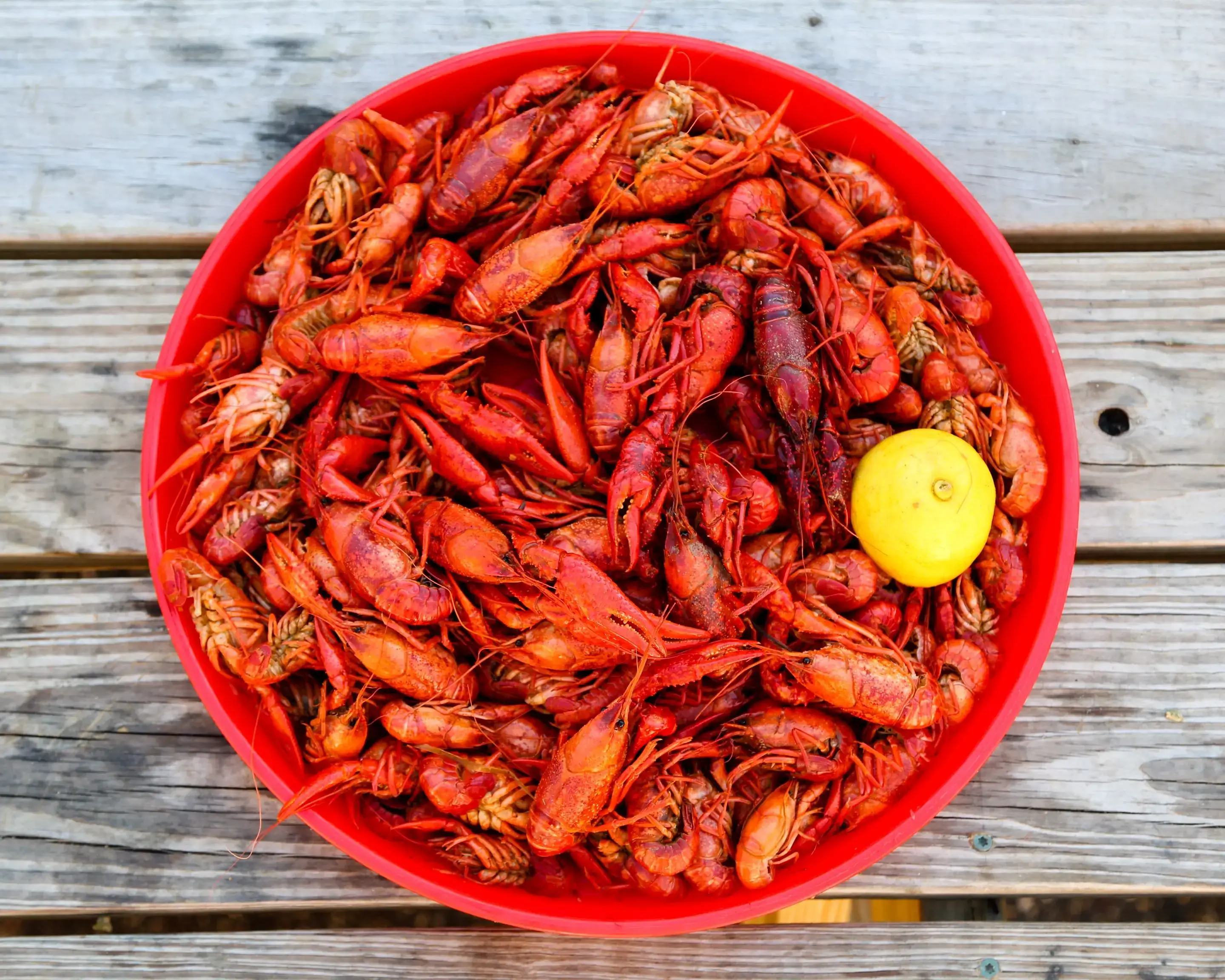 Order Louis' Cajun Seafood (Colerain) Menu Delivery【Menu & Prices