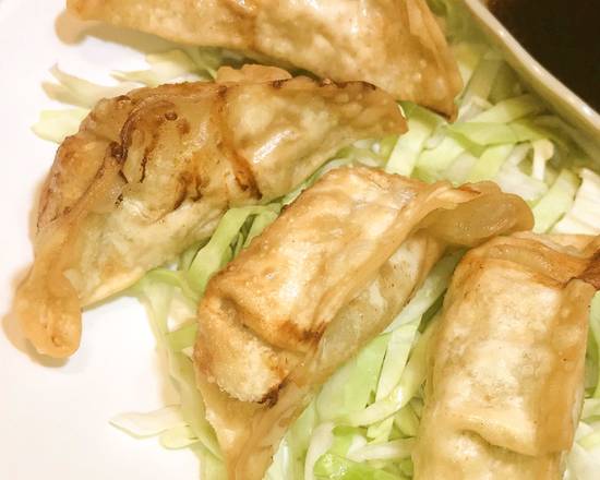 Pan Fried Chicken Dumpling