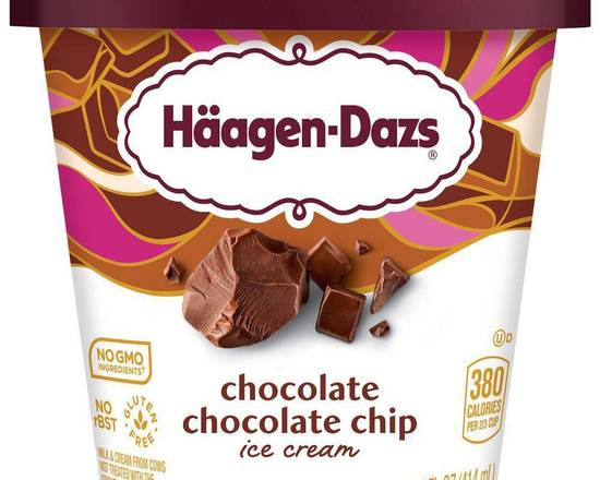 Order Haagen Dazs Pints food online from Nobhill Pizza & Shawerma store, San Francisco on bringmethat.com