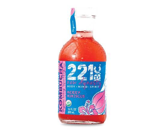 Order 221 Kombucha food online from 3 Natives - Pensacola St store, Tallahassee on bringmethat.com