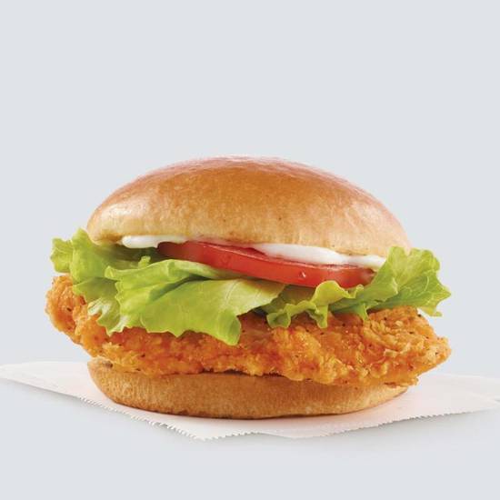 Order Spicy Chicken Sandwich food online from Wendy'S store, Quakertown on bringmethat.com