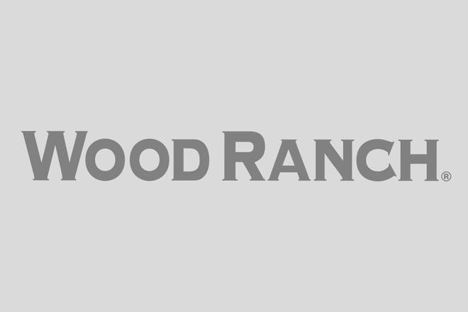 Order Steamed Fresh Asparagus food online from Wood Ranch BBQ & Grill store, Rancho Santa Margarita on bringmethat.com