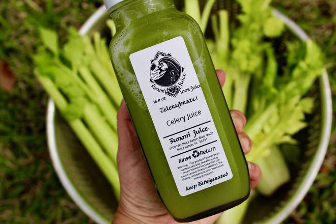 Order Celerybrate food online from Swami Juice Davie store, Davie on bringmethat.com