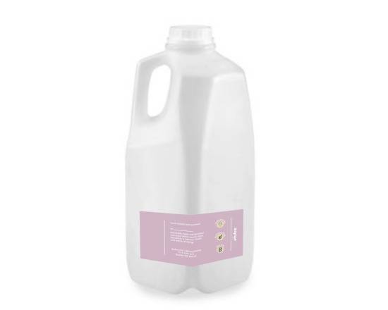 Order Iced Tea (Jug) food online from Atulea store, Seattle on bringmethat.com