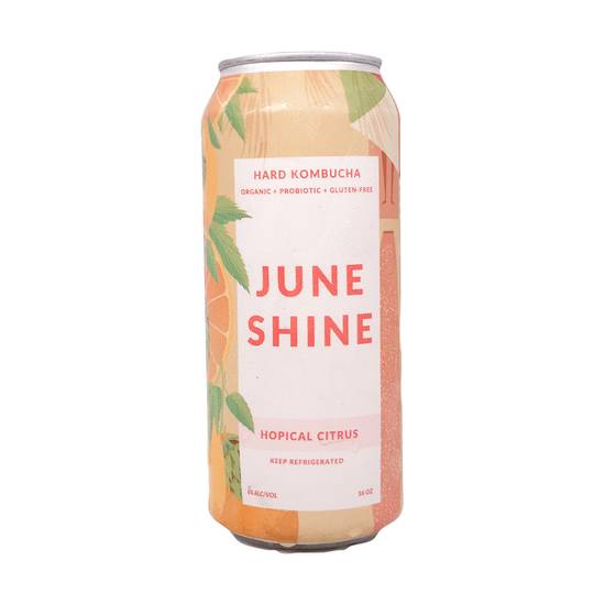 Order June Shine Hopical Citrus food online from Santa Monica Liquor store, Santa Monica on bringmethat.com