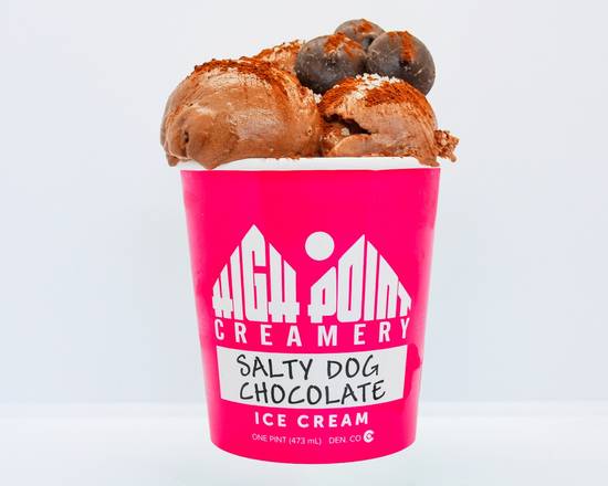 Order Salty Dog Chocolate (Pint) food online from High Point Creamery store, Denver on bringmethat.com