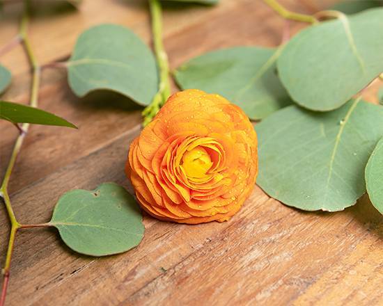 Order Ranunculus "Buttercup" food online from @flowers Brier Creek store, Raleigh on bringmethat.com