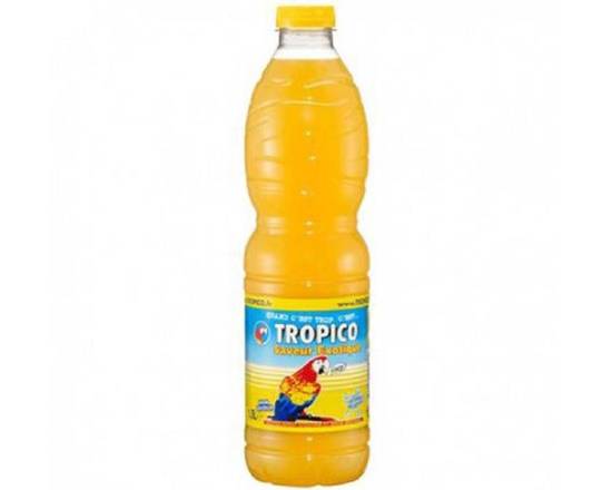 Tropico