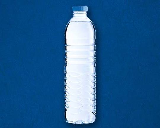Order Bottled Water food online from Vegan Indian Village store, Woodbury on bringmethat.com