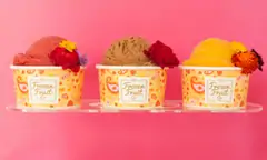 Frozen Fruit Co