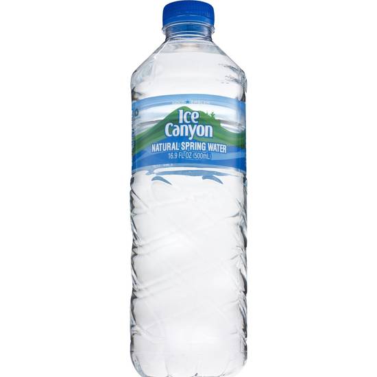 Order Gold Emblem Ice Canyon Natural Spring Water, 16.9 OZ food online from Cvs store, WESTON on bringmethat.com