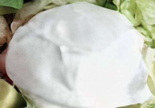 Order Sour Cream food online from El Canelo store, New Castle on bringmethat.com