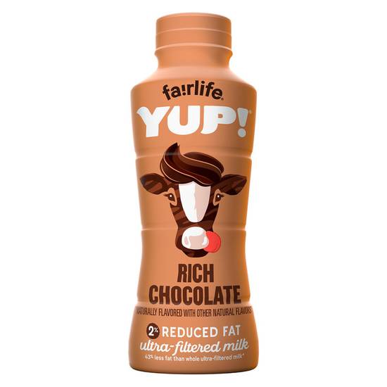 Order Fairlife Yup! Rich Chocolate 2% Milk 14oz Btl food online from Everyday Needs by Gopuff store, Manchester on bringmethat.com