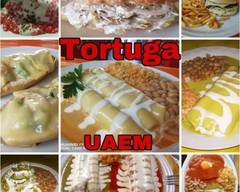 Tortuga ( Uaem )
