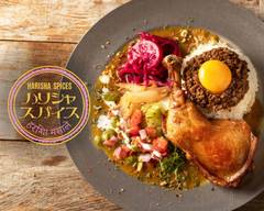 スパイスカレー専門 ハリシャ・スパイス 京都六角