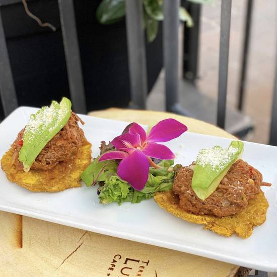 Order Patacon De Ropa Vieja food online from Terra Luna Cafe store, Providence on bringmethat.com