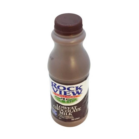 Order Rockview Chocolate Milk - Pint food online from Santa Monica Liquor store, Santa Monica on bringmethat.com