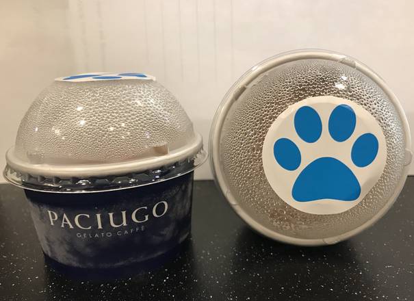 Order Pup Cup food online from Paciugo Gelato & Caffe store, Saint Petersburg on bringmethat.com
