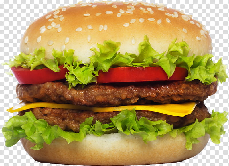Double cheese burger