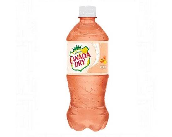 Order Canada Dry Peach 20oz food online from Fresko Market store, Miami on bringmethat.com
