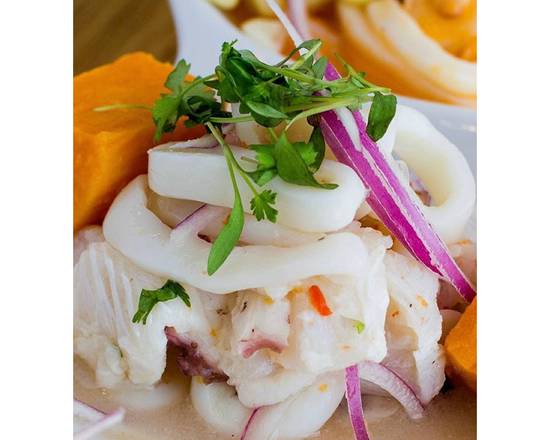 Order Remedio Casero Mix ceviche and soda food online from Dr. Limon Ceviche Bar store, Miami Lakes on bringmethat.com