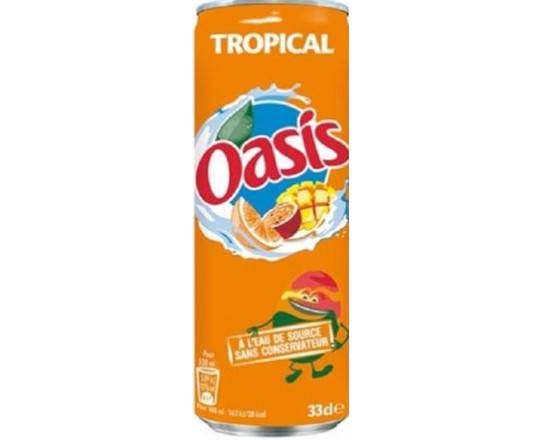 Oasis tropical