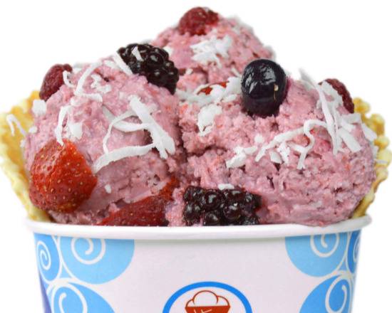 Order Tropical Turbine food online from Sub Zero Ice Cream & Yogurt store, Sarasota on bringmethat.com