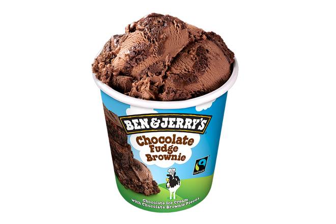 Ben & Jerry's chocolate fudge brownie