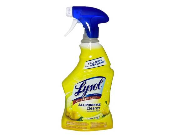 Order Lysol All Purpose Cleaner 22 oz food online from Fresko Market store, Miami on bringmethat.com