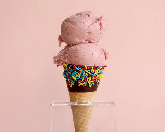 Order Ice Cream Scoop (Double) food online from Davey's Ice Cream store, New York on bringmethat.com