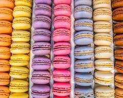 Salon Macaron