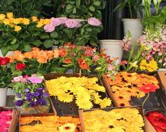 You and Me Flowers 真情花店