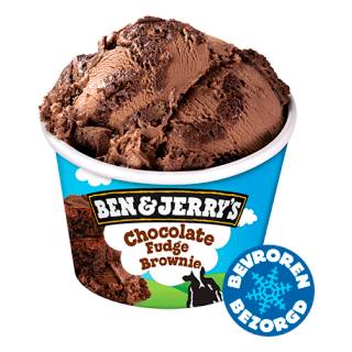 Ben & Jerry's Pint Chocolate Fudge Brownie 465ml