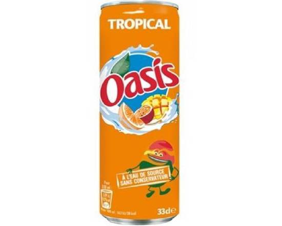 Oasis tropical
