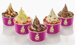 Menchie's Frozen Yogurt (484 Howe Ave)