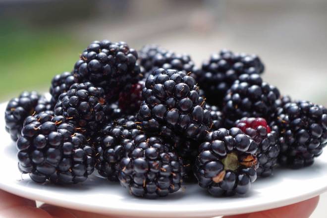 Order BlackBerries food online from Fresko Market store, Miami on bringmethat.com