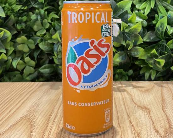 Oasis tropical