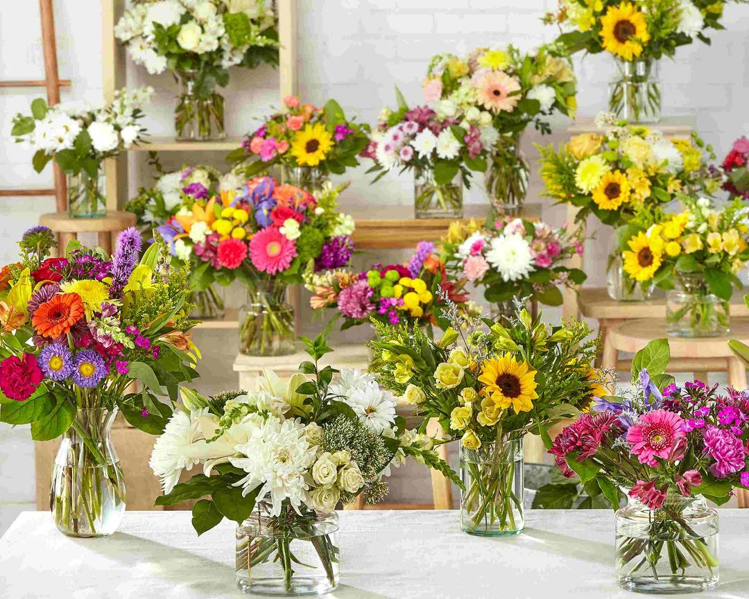 Order ProFlowers (437 S MAIN ST) Delivery Online Brigham City Menu