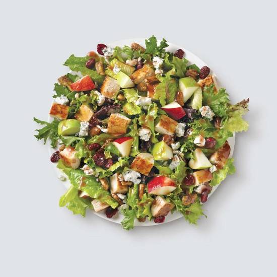 Order Apple Pecan Salad food online from Wendy'S store, Quakertown on bringmethat.com