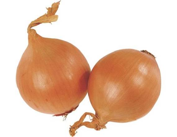 Oignon 1 kilos
