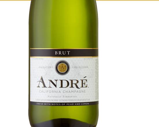 Order Andre BRUT, 750mL sparkling wine (10.5% ABV) food online from Golden Ox Liquors store, Saint Augustine on bringmethat.com